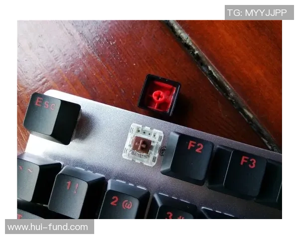 王者荣耀装备选购指南：推荐适合游戏的机械键盘品牌与型号