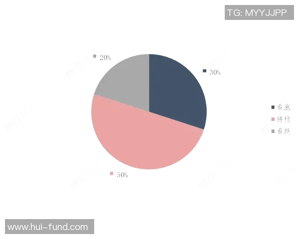 独家解析LNG市场竞争策略与战术对比深度剖析